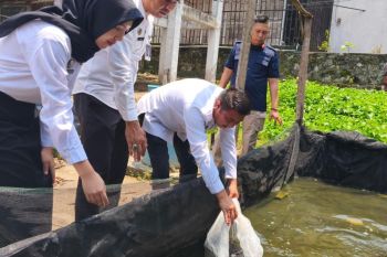 Rutan Baturaja tebar 4.000 bibit ikan lele di lahan SAE
