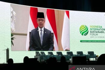 RI encourages green investment, global collaboration for downstreaming