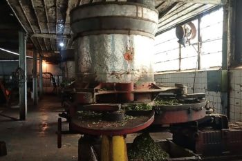 Pabrik teh Kayu Aro  tetap fungsikan mesin tua peninggalan Belanda