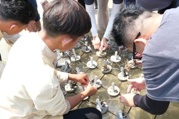 Pertamina Patra RJBB konservasi terumbu karang di Pulau Untung Jawa