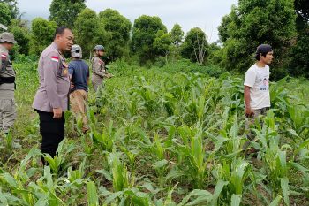 Satgas Madago-Raya dukung pemberdayaan eks napiter untuk produktif