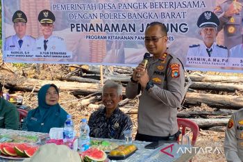 Polres Bangka Barat-Pemdes Pangek garap lahan ketahanan pangan 1,5 ha