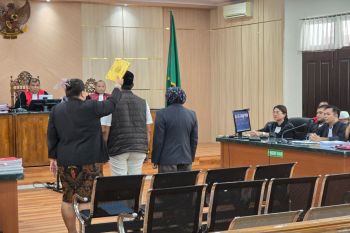 Hakim Cecar Bupati Siak Soal 'Cukong' yang Merambah Lahan PT SSL