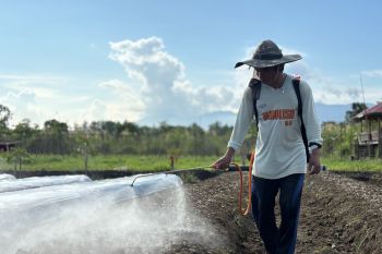 IMIP kembangkan program Hortikultura di lingkar Industri