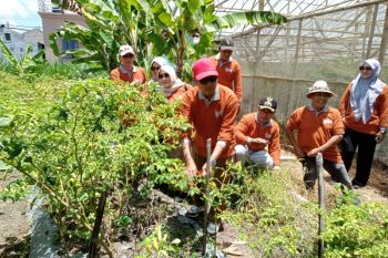 Mataram belajar tanam cabai ke Lombok Timur  kendalikan inflasi