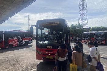 Operator tegaskan Bus TMD bukan pesaing sopir pariwisata di Bali