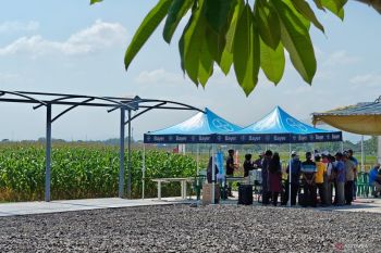 Risiko resistensi hama jadi pembahasan ahli inovasi pertanian nasional