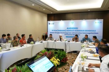 PLN dorong pengembangan energi hijau