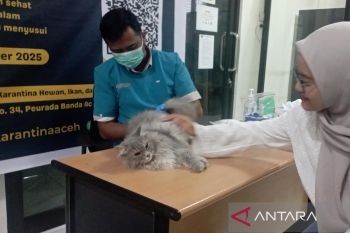 Laboratorium Balai Karantina Aceh gratiskan vaksinasi rabies