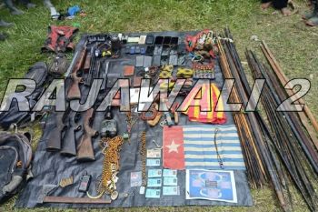 Fourteen armed rebels killed in Papua linked to deadly attacks: TNI