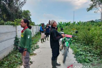 BKSDA lakukan penggiringan harimau terisolasi di BRIN Agam ke induknya (Video)