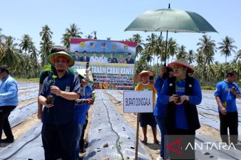 Pemkab-Donggala dorong petani manfaatkan KUR dukung ketahanan pangan