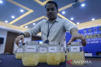 Ungkap kasus penyelundupan benih bening lobster