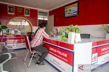 Indonesia relies on village cooperatives to curb inflation: minister