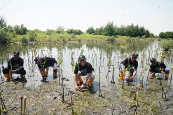 HLN, PLN rehabilitasi mangrove dalam Program Mageri Segoro