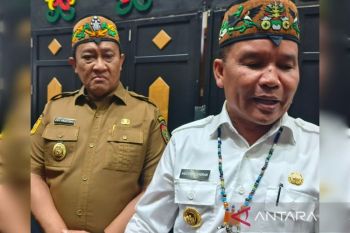 Pemprov Kalteng optimalkan pendapatan sektor kehutanan dan perkebunan