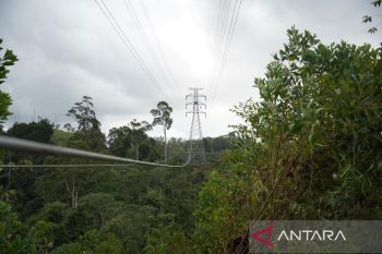 Tiga pakar nilai pemerintah dapat pertimbangkan bangun PLTN