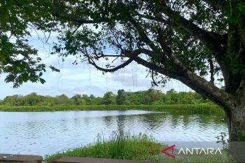 Danau Dendam Tak Sudah, wisata habiskan pagi dan sore di tengah Kota Bengkulu