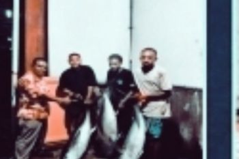 SKPT Biak Osean Seafood kirim 30 ton ikan ke Surabaya