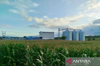 Investor asal Turki lirik bangun gudang jagung dan gabah di NTB
