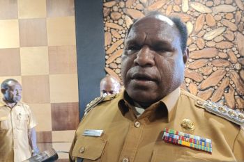 Pemkab Jayawijaya harap kebun tebu 40 hektare tingkatkan kesejahteraan