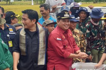 Kabupaten Banyuasin sediakan data mutakhir perkuat Satu Data Indonesia