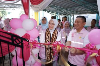 PLN Lampung dorong pengarusutamaan gender lewat workshop Srikandi