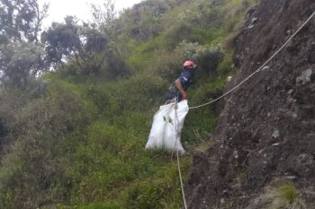 Petugas TNGR bersihkan sampah di kawasan Gunung Rinjani Lombok