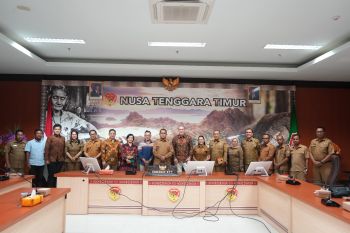 Gubernur NTT: Arus laut di Flores Timur dapat membantu kekurangan listrik