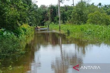 1.003 jiwa warga di Aceh Barat terdampak banjir