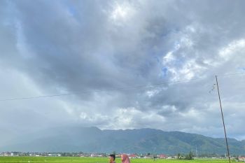 Mengenal Sekungkung: desa di kaki Gunung Kerinci yang jadi Diengnya Sumatra