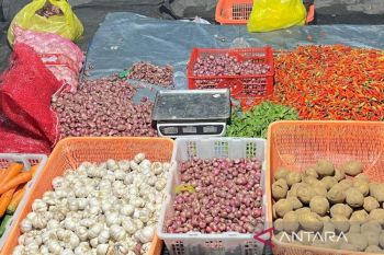 Harga kebutuhan dapur di Kobar mulai turun