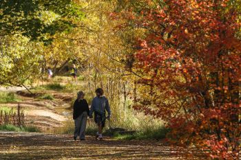1 dari 5 penderita kanker paru-paru di seluruh dunia bukan perokok