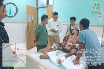 Seorang warga dilaporan kena serangan 2 harimau di Riau