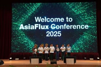 Indonesia becomes global hub for tropical peatland restoration