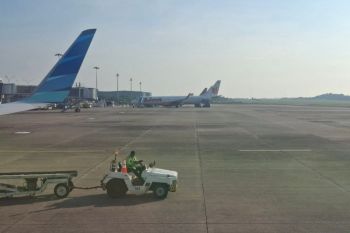 Minister announces airfares reduction for Christmas, New Year holidays