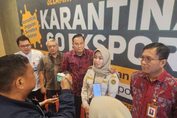 BKHIT Sumsel kembangkan "Go Ekspor" bantu UMKM ekspor produk