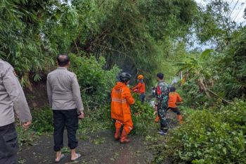 BPBD Bondowoso catat 68 rumah rusak akibat diterjang angin kencang
