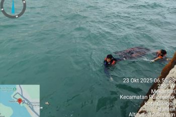 SAR evakuasi jenazah pria tanpa identitas di perairan Pelabuhan Merak