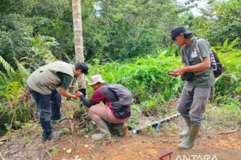 BKSDA Sumbar tangani empat konflik satwa di Agam selama Oktober