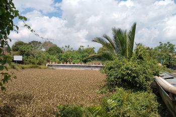 Satgas Pangan  : Kolaborasi lintas instansi jaga harga beras di Sulsel