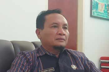 Lombok Timur kembangkan budi daya porang lewat bantuan bibit