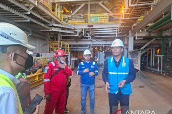 Indonesia sets seven geothermal zones on Flores Island