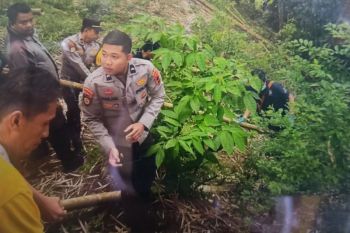 Polisi selidiki kasus penemuan bayi terpotong tiga