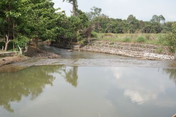 PT Vale pastikan kualitas air di Towuti aman dan pemulihan terus berjalan