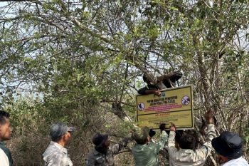 BTNT: Peneliti asing ilegal di Tambora publikasikan hasil riset secara bebas