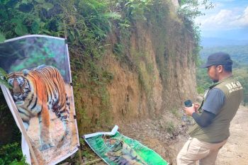 Warga Koto Tinggi Agam gunakan spanduk harimau antisipasi ganggu hama tanaman (Video)