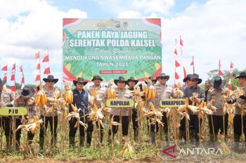 Polres Tanah Bumbu berhasil optimalkan lahan tidur jadi pertanian jagung produktif