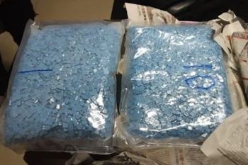 Vape jadi kedok, BNN ungkap jaringan narkoba lintas pulau