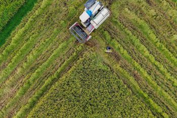 Penurunan susut pascapanen nasional